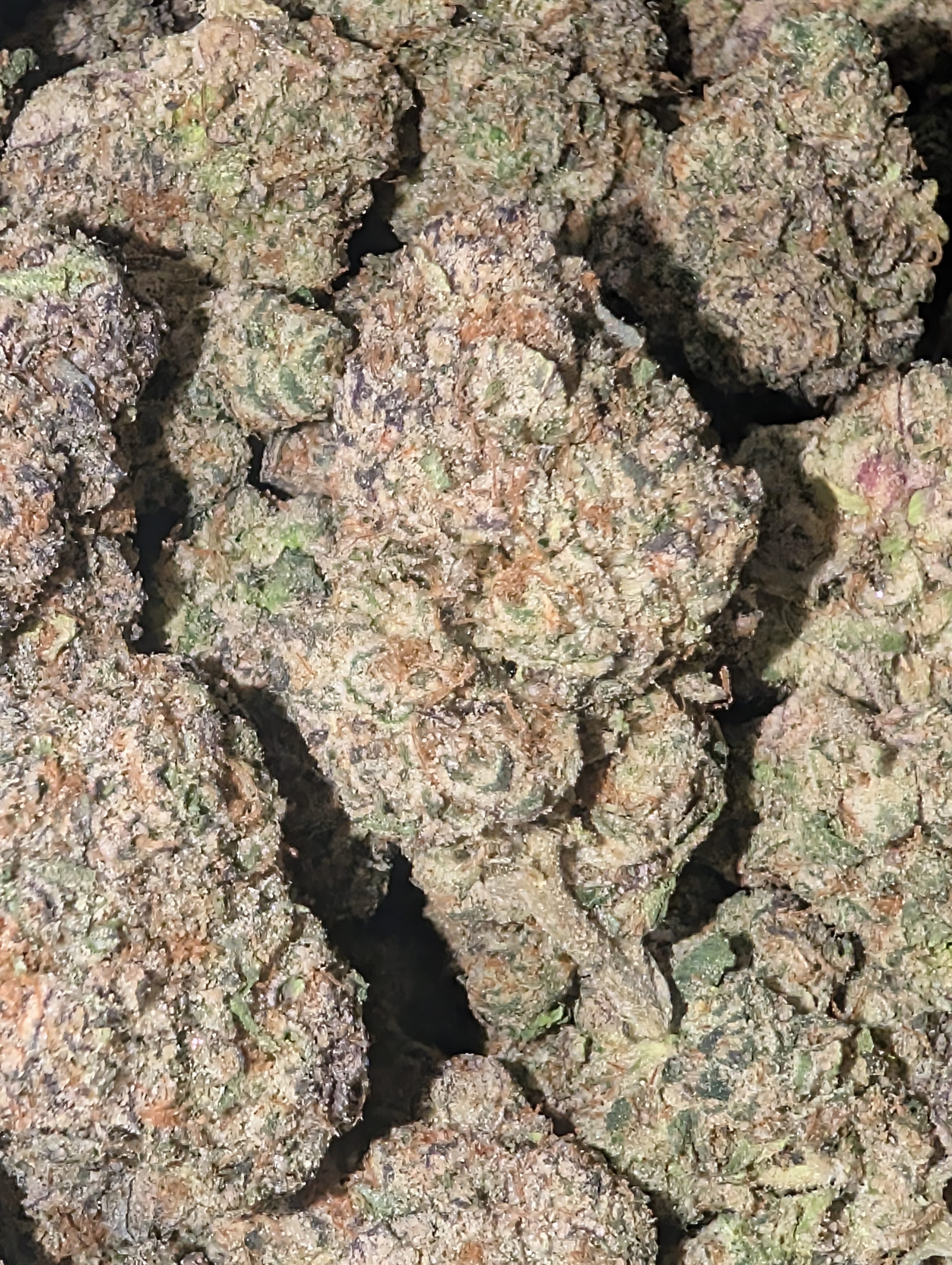 Pop Candy